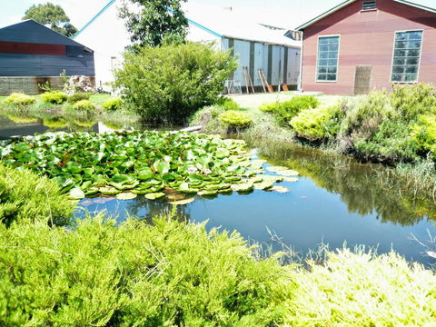 Yarragon Dairy Family Room - Redcliffe Tourism 1