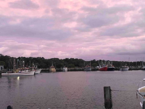 Aloha Iluka! - Redcliffe Tourism 1