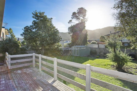 Apollo Bay People N Paws - Redcliffe Tourism 4