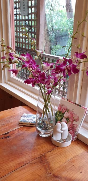 Astley Cottage - Redcliffe Tourism 4