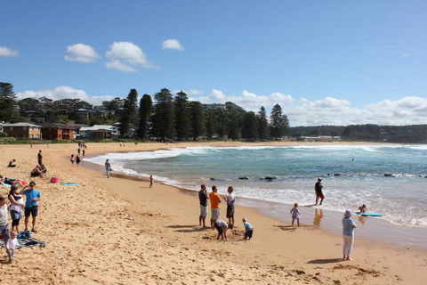 Avoca Beach \