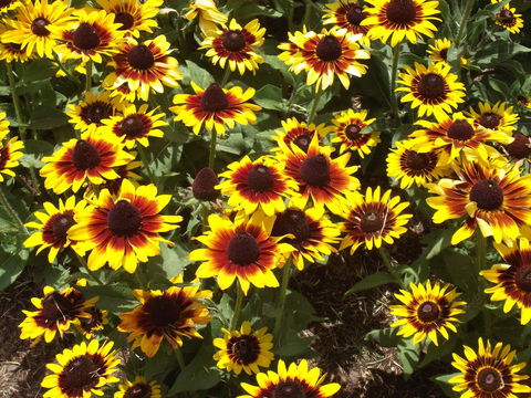 Eastgate On The Range Motel - Redcliffe Tourism 16