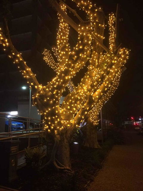 Quest Breakfast Creek - Redcliffe Tourism 16