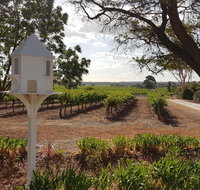'In The Vines' Guest Cottage Barossa Valley - Redcliffe Tourism