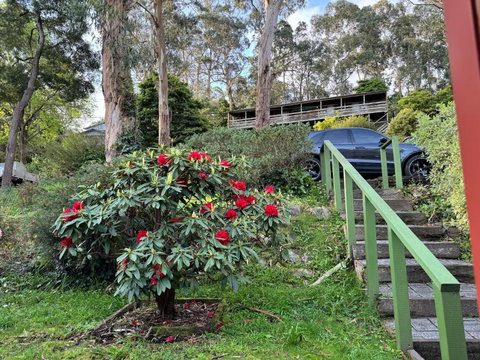 Belgrave Hillside Zen Retreat - Redcliffe Tourism 4