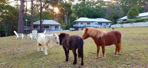 Aaronlee Retreat - Redcliffe Tourism 2