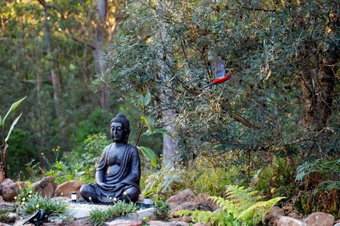 Dorrigo Bush Pepper Retreat - Redcliffe Tourism 4