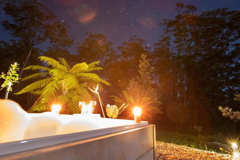 Dorrigo Bush Pepper Retreat - Redcliffe Tourism 2