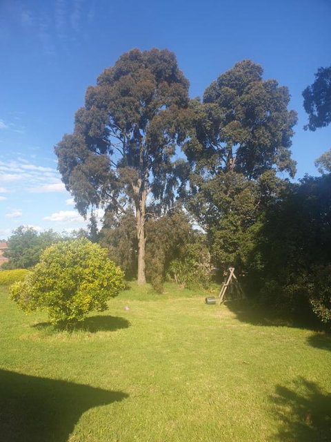 Feel Country Breeze - Redcliffe Tourism 0