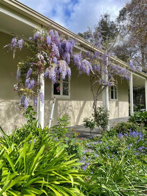 Fleetwood Cottage Bed And Breakfast - Redcliffe Tourism 4