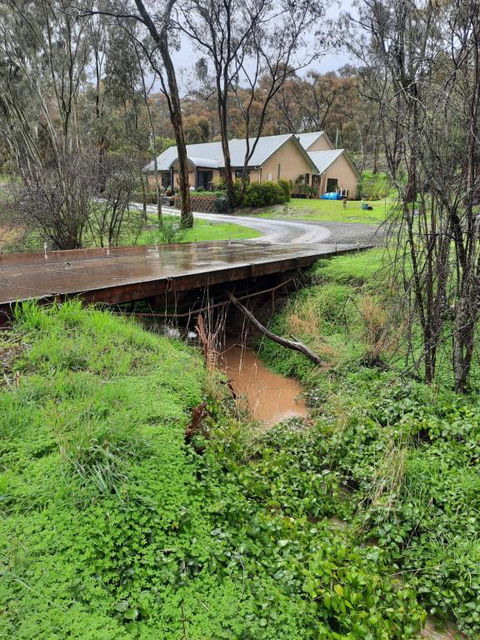 Frogmouth Hollow - Redcliffe Tourism 4