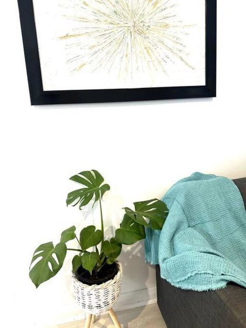 Happy Studio In NewCastle - Redcliffe Tourism 1