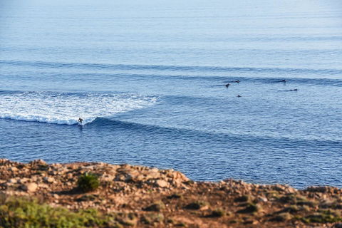 Aldinga Beach Experience - Redcliffe Tourism 3
