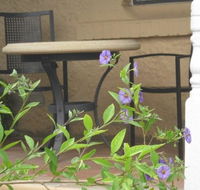 Amalie Cottage Waikerie - Redcliffe Tourism