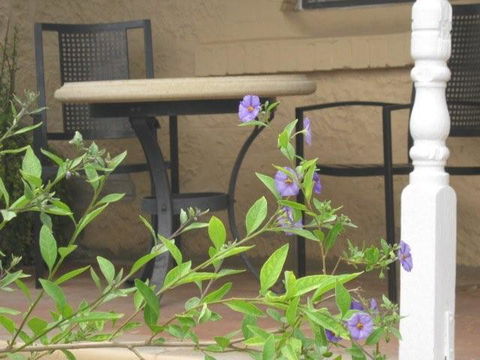 Amalie Cottage Waikerie - Redcliffe Tourism 0