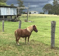 AMs Farm Stay - Redcliffe Tourism