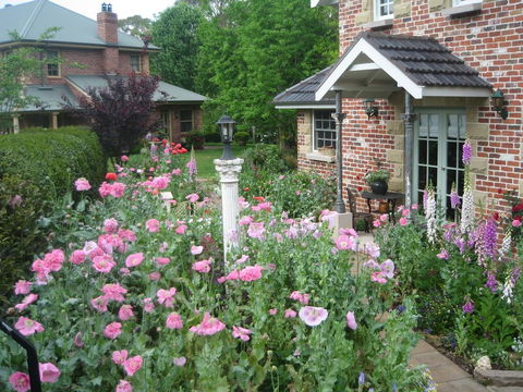 Annie's Cottage - Redcliffe Tourism 0