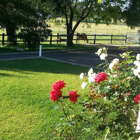 Appin Homestay B & B - Redcliffe Tourism 3