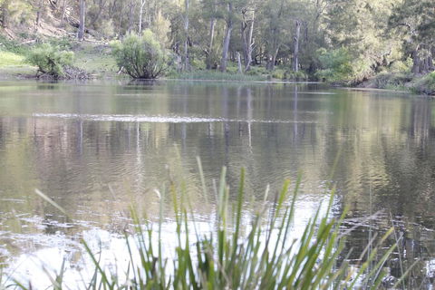 Arcadian Cabin - Southern Highlands River Retreat - Redcliffe Tourism 0
