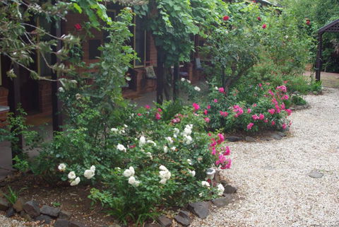 Motel Maldon - Redcliffe Tourism 0