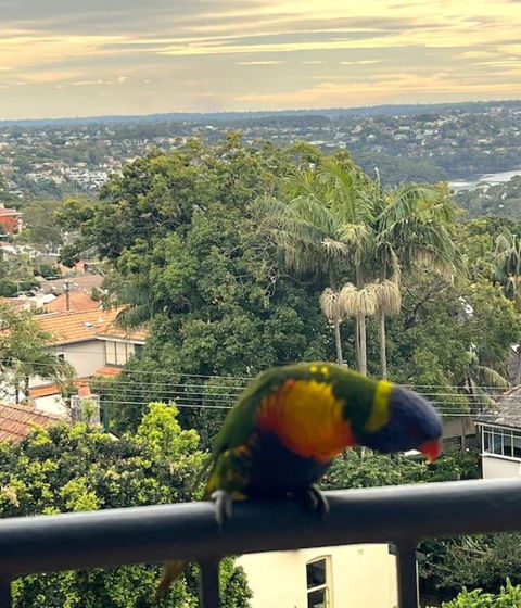 Mosman Views, 2bed, Parking, 15min Walk To Beach - Redcliffe Tourism 1