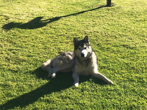 Mountain Culture Farm Stay - Pet Friendly - Redcliffe Tourism 3