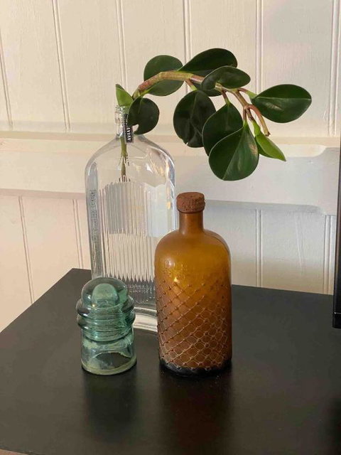 Nice To Have So Much Privacy With No Other Houses Near By - Redcliffe Tourism 3