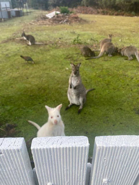 NOFOMO AT ADVENTURE BAY - Redcliffe Tourism 2
