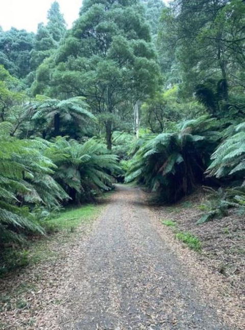 Olinda Enchanted Tower Spa Gas Log Fire And Netflix - Redcliffe Tourism 1