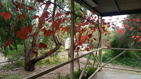 Padthaway Caravan Park - Redcliffe Tourism 1