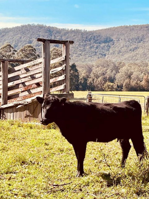 Peppercorns Riverside Farm Stay - Redcliffe Tourism 0