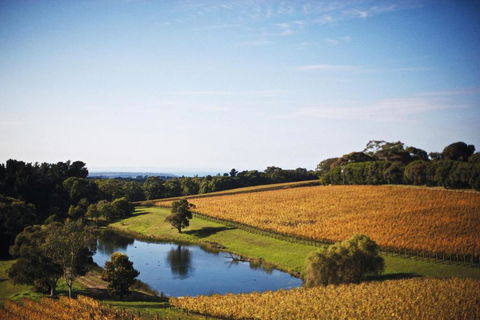 Port Phillip Estate - Redcliffe Tourism 2