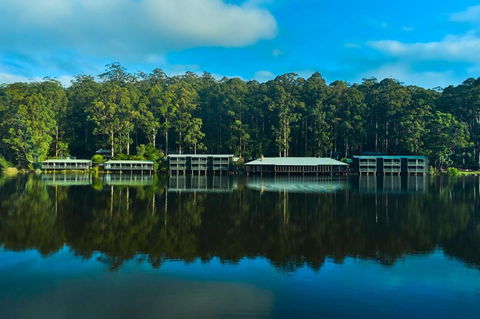 RAC Karri Valley Resort - Redcliffe Tourism 2
