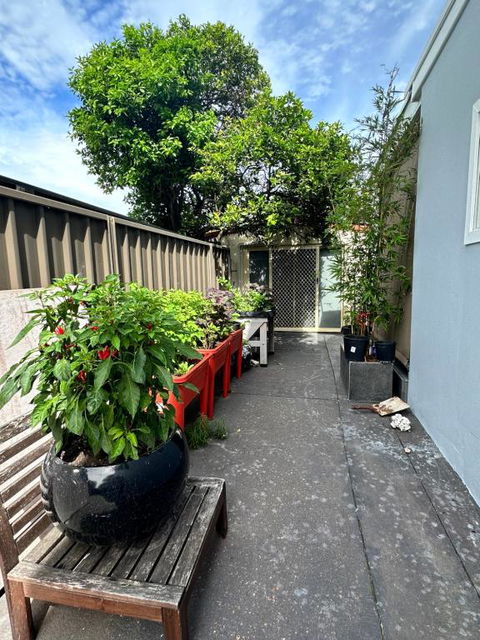 Private, Local Living Studio In Mascot, Airport - Redcliffe Tourism 2