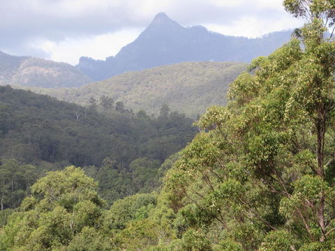 Babbling Brook Retreat - Redcliffe Tourism 2