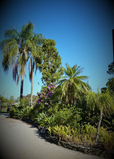 Ballina Colonial Motel - Redcliffe Tourism 3