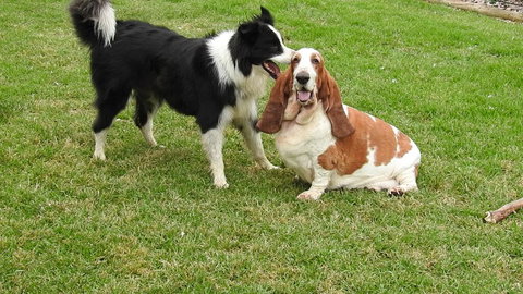 Barklysuites Apartments - Redcliffe Tourism 2