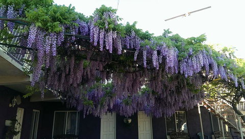 Barossa Gateway Motel - Redcliffe Tourism 2