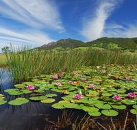 Barrington Hideaway- River Cottages - Redcliffe Tourism