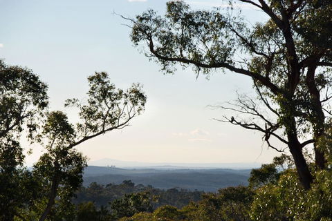 Barwidgee - Redcliffe Tourism 2