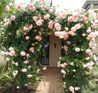 Baudins of Busselton Bed and Breakfast - Redcliffe Tourism