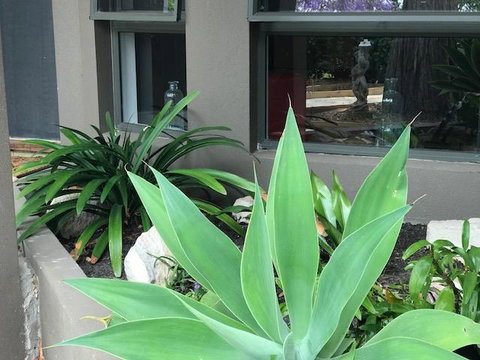 Baulkham Hills - Redcliffe Tourism 3