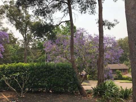 Baulkham Hills - Redcliffe Tourism 2