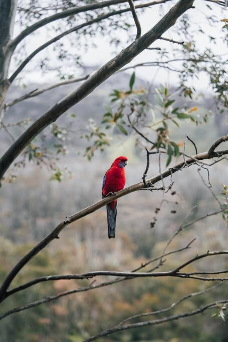 Riverside Cabin 18 Thredbo - Redcliffe Tourism 1