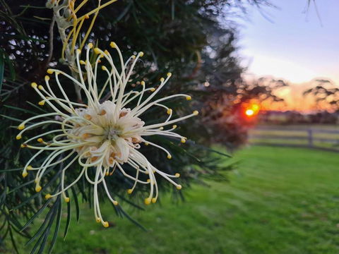 Redgate Forest Retreat - Redcliffe Tourism 1