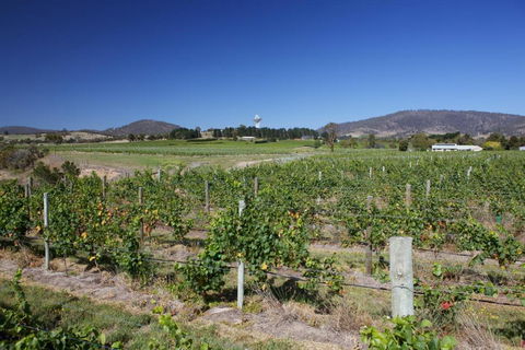 Riversdale Estate Cottages - Redcliffe Tourism 1