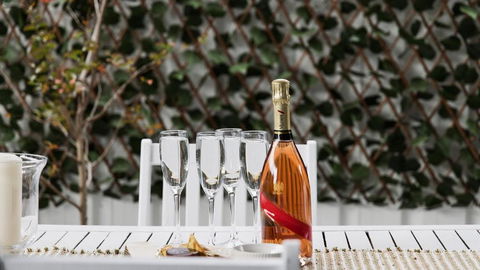 Salamander Sweet Foreshore Drive - Redcliffe Tourism 1