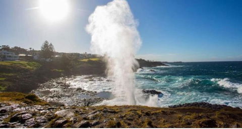 SALTY PALMS -Seaside Studio Apartment - Redcliffe Tourism 2