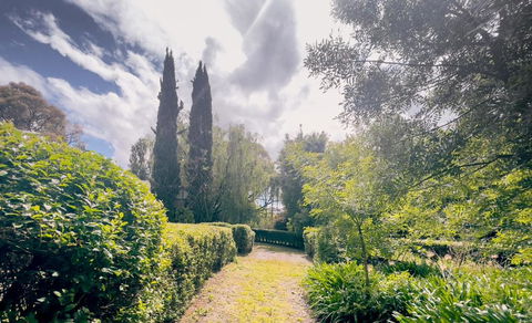 Sanctuary Park Cottages - Redcliffe Tourism 1