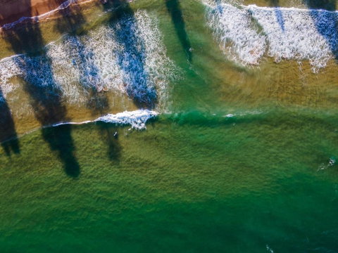 Sandalwood - Redcliffe Tourism 2